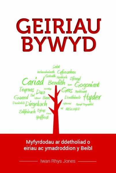 Cover image for Geiriau Bywyd, isbn: 9781850492535