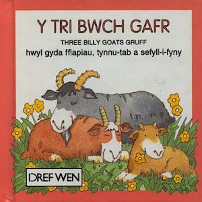 Cover image for Cyfres Hoff Straeon:Tri Bwch Gafr, Y, isbn: 9781855961692