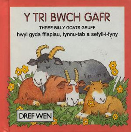 Cover image for Cyfres Hoff Straeon:Tri Bwch Gafr, Y, isbn: 9781855961692