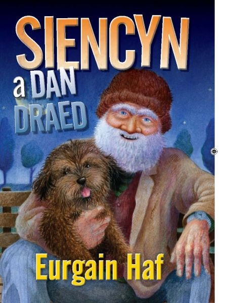 Cover image for Siencyn a Dan Draed, isbn: 9781855968295
