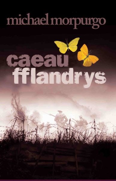Cover image for Caeau Fflandrys, isbn: 9781855968462