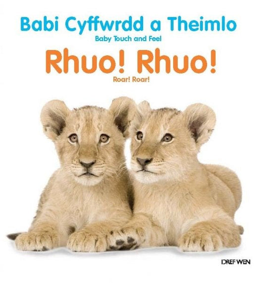Cover image for Babi Cyffwrdd a Theimlo/Baby Touch and Feel: Rhuo! Rhuo!/Roar! Roar!, isbn: 9781855969889