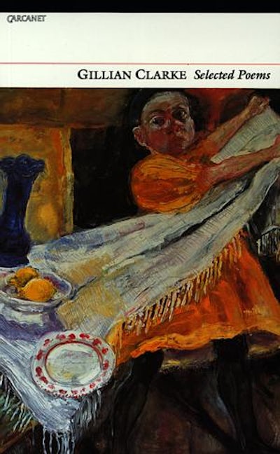 Cover image for Selected Poems Gillian Clarke, isbn: 9781857542998