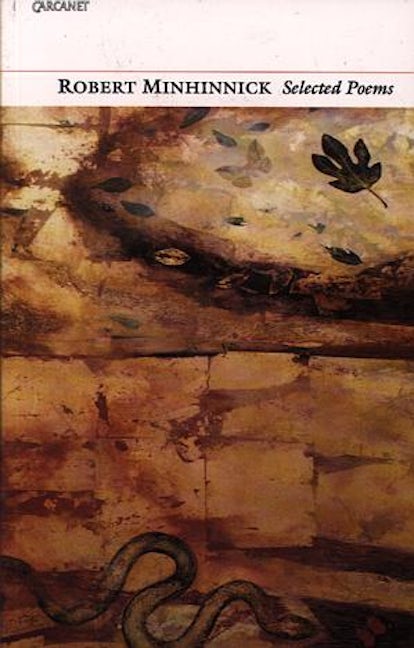 Cover image for Robert Minhinnick - Selected Poems, isbn: 9781857543834