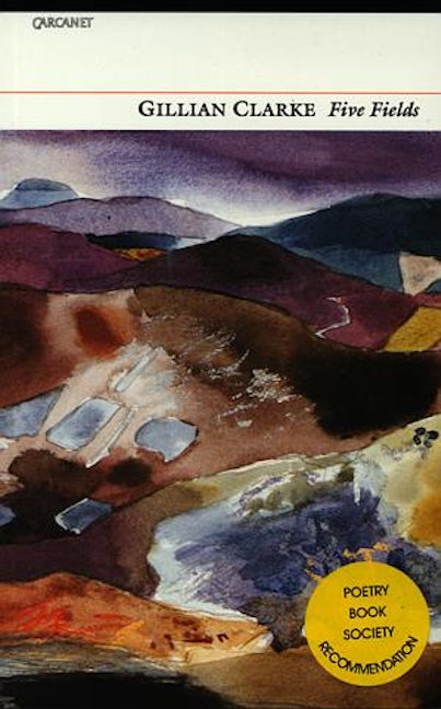Cover image for Five Fields, isbn: 9781857544015