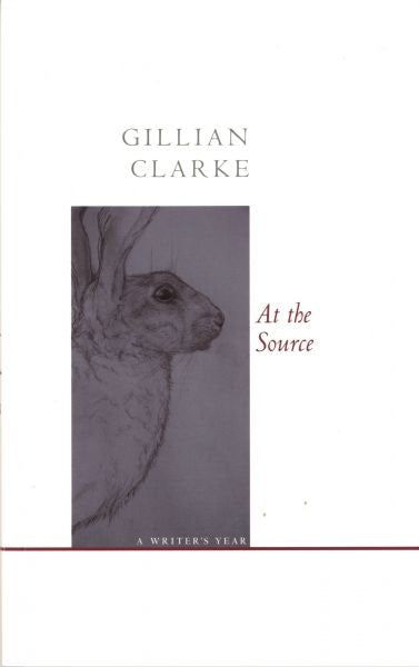 Cover image for At the Source, isbn: 9781857549867