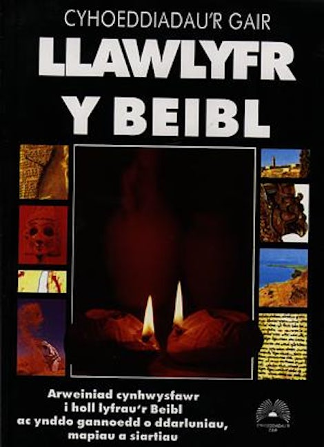 Cover image for Llawlyfr y Beibl, isbn: 9781859940747