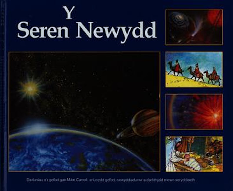 Cover image for Y Seren Newydd, isbn: 9781859940952