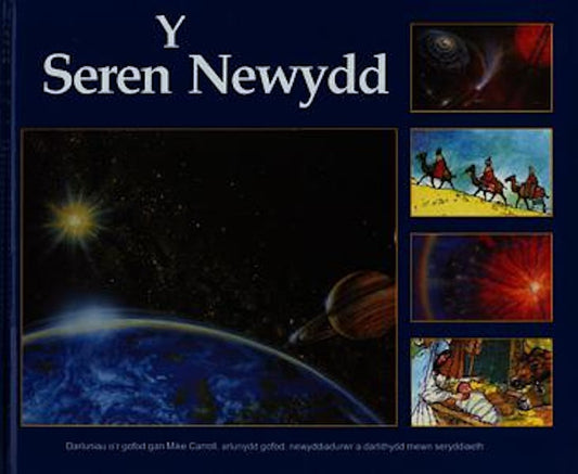 Cover image for Y Seren Newydd, isbn: 9781859940952