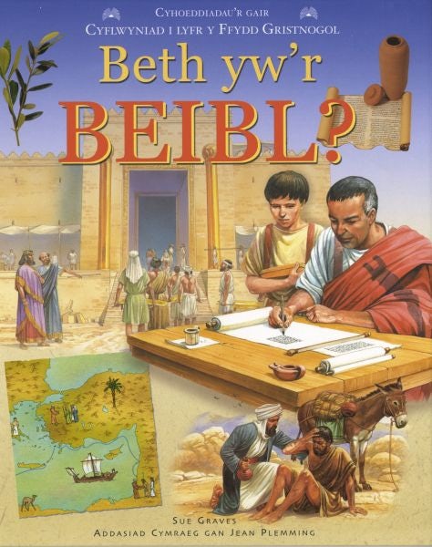 Cover image for Beth Yw'r Beibl?, isbn: 9781859945346