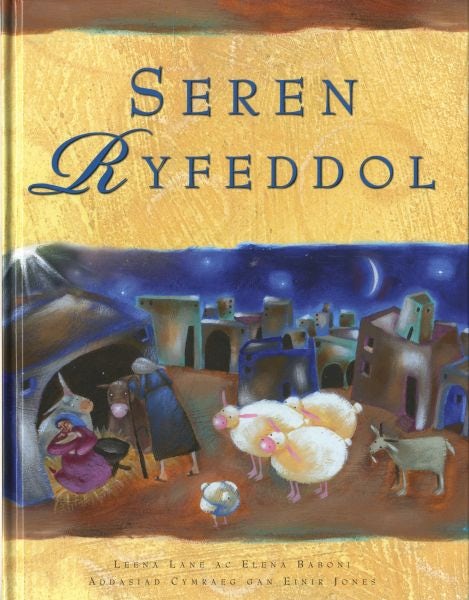 Cover image for Seren Ryfeddol, isbn: 9781859945766