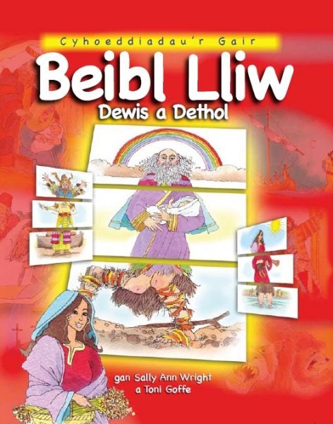 Cover image for Beibl Lliw Dewis a Dethol, isbn: 9781859947265