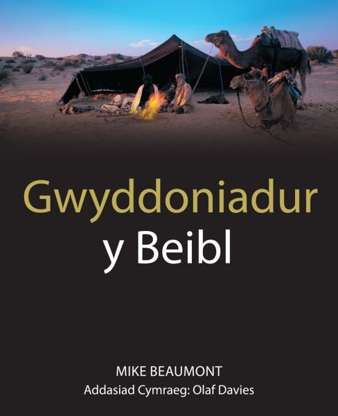 Cover image for Gwyddoniadur y Beibl, isbn: 9781859947487