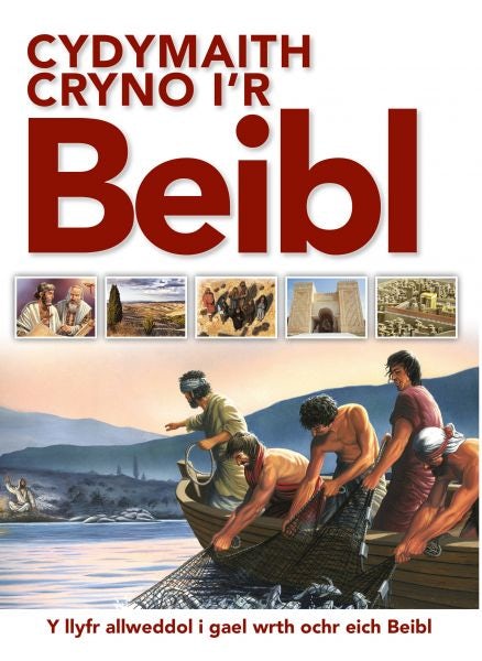 Cover image for Cydymaith Cryno i'r Beibl, isbn: 9781859947913