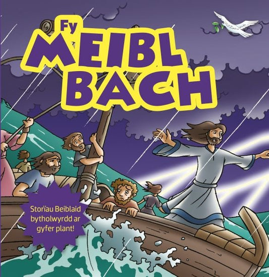 Cover image for Fy Meibl Bach, isbn: 9781859947920