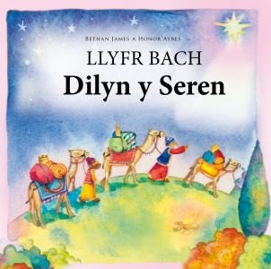 Cover image for Llyfr Bach Dilyn y Seren, isbn: 9781859948248