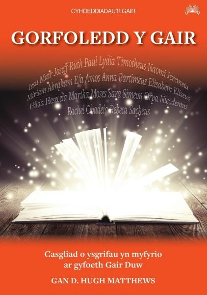 Cover image for Gorfoledd y Gair, isbn: 9781859948514
