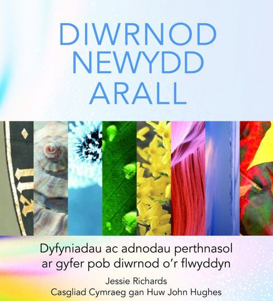 Cover image for Diwrnod Newydd Arall - Dyfyniadau ac Adnodau Perthnasol ar Gyfer Pob Diwrnod o'r Flwyddyn, isbn: 9781859948972