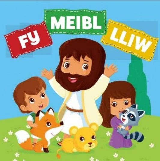 Cover image for Fy Meibl Lliw, isbn: 9781859949320