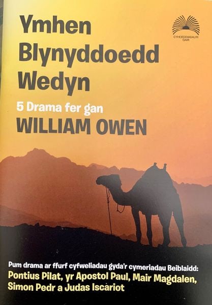 Cover image for Ymhen Blynyddoedd Wedyn, isbn: 9781859949351