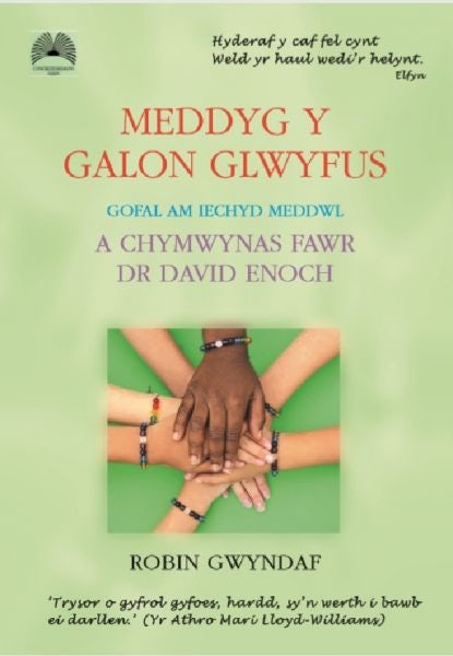 Cover image for Meddyg y Galon Glwyfus - Gofal am Iechyd Meddwl a Chymwynas Fawr Dr David Enoch, isbn: 9781859949429