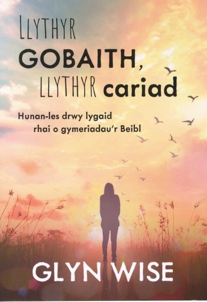 Cover image for Llythyr Gobaith, Llythyr Cariad, isbn: 9781859949870