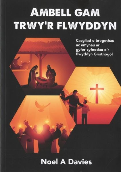 Cover image for Ambell Gam Trwy'r Flwyddyn, isbn: 9781859949931