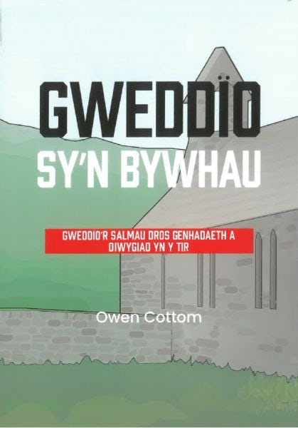 Cover image for Gweddïo sy'n bywhau - Gweddïo'r salmau dros genhadaeth a diwygiad yn y tir, isbn: 9781859949979