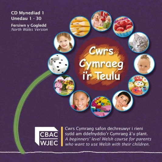 Cover image for Cymraeg i'r Teulu Blwyddyn 1 (Fersiwn y Gogledd) - CD, Unedau 1-30, isbn: 9781860856822