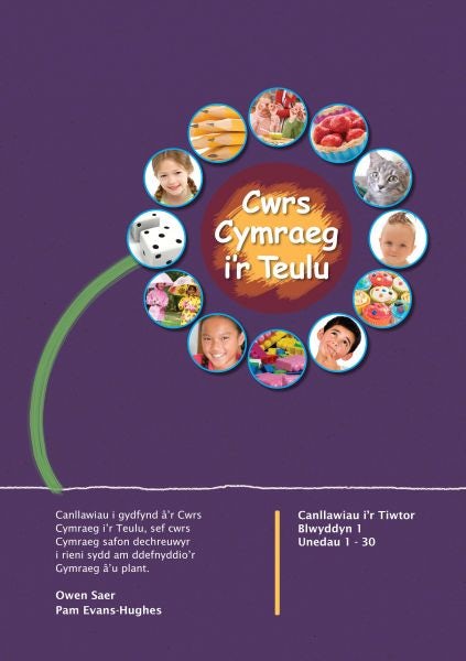 Cover image for Cwrs Cymraeg i'r Teulu: Canllawiau i'r Tiwtor Blwyddyn 1, isbn: 9781860856853