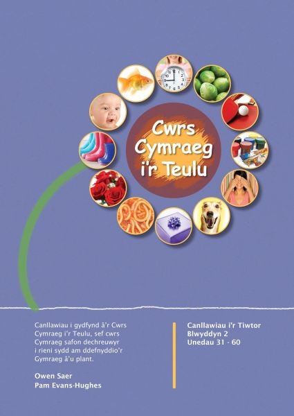 Cover image for Cwrs Cymraeg i'r Teulu: Canllawiau i'r Tiwtor Blwyddyn 2, isbn: 9781860856860