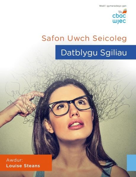 Cover image for Safon Uwch Seicoleg - Datblygu Sgiliau, isbn: 9781860857089