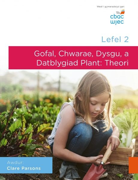 Cover image for Lefel 2 Gofal, Chwarae, Dysgu a Datblygiad Plant: Theori. CBAC, isbn: 9781860857423