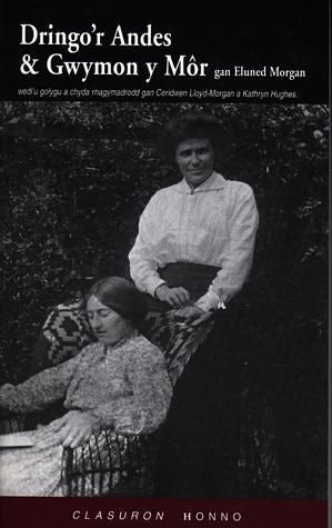 Cover image for Clasuron Honno: Dringo'r Andes & Gwymon y Môr, isbn: 9781870206457