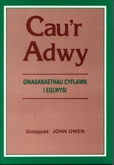 Cover image for Cau'r Adwy - Gwasanaethau Cyflawn i Eglwysi, isbn: 9781874786511