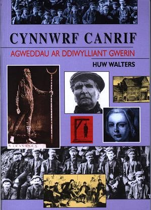 Cover image for Cynnwrf Canrif - Agweddau ar Ddiwylliant Gwerin, isbn: 9781900437677