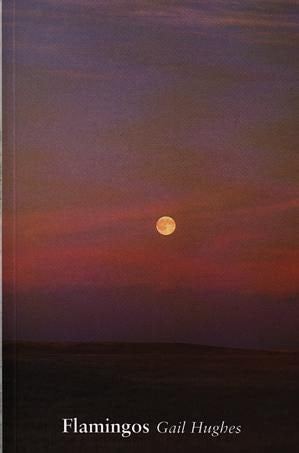 Cover image for Flamingos, isbn: 9781902638102