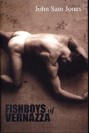 Cover image for Fishboys of Vernazza, isbn: 9781902638348