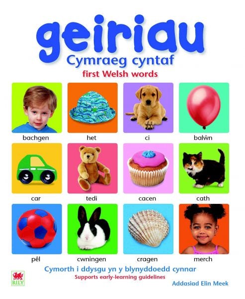 Cover image for Geiriau Cymraeg Cyntaf, isbn: 9781904357810