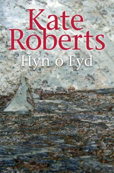 Cover image for Hyn o Fyd, isbn: 9781904554066