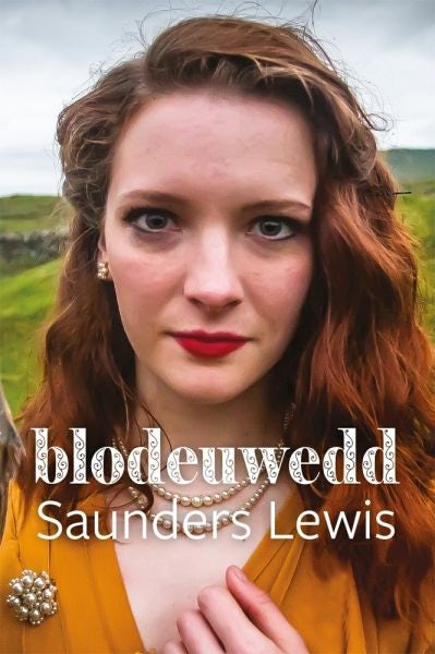 Cover image for Blodeuwedd, isbn: 9781904554219