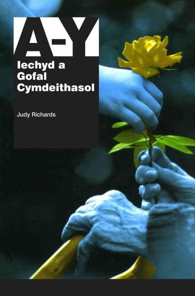 Cover image for Llawlyfr Iechyd a Gofal Cymdeithasol A-Y, isbn: 9781904837251
