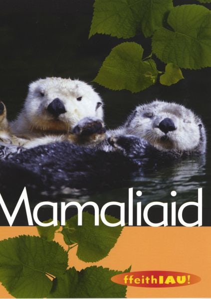Cover image for Cyfres Ffeithiau! Anifeiliaid: Mamaliaid, isbn: 9781905255092