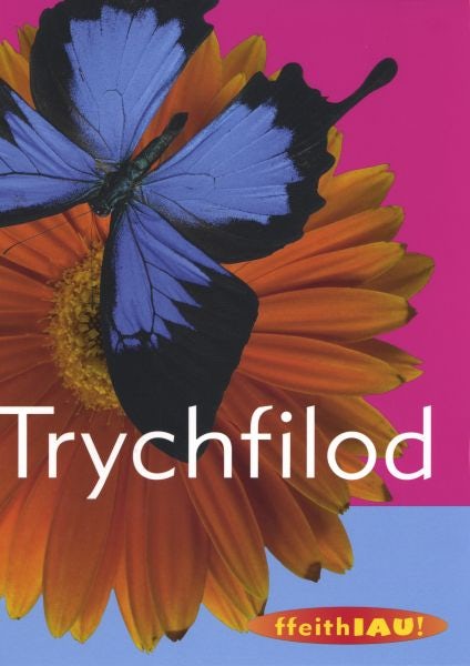 Cover image for Cyfres Ffeithiau! Anifeiliaid: Trychfilod, isbn: 9781905255108