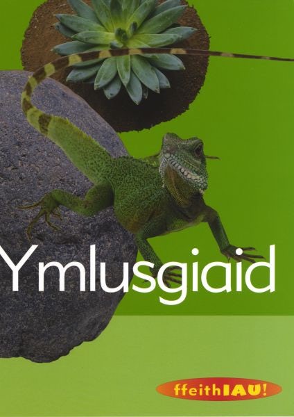 Cover image for Cyfres Ffeithiau! Anifeiliaid: Ymlusgiaid, isbn: 9781905255115