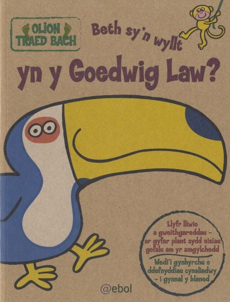 Cover image for Olion Traed Bach: 4. Beth Sy'n Wyllt yn y Goedwig Law?, isbn: 9781905255535