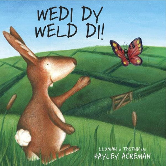 Cover image for Wedi Dy Weld Di, isbn: 9781905762927