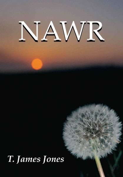 Cover image for Nawr, isbn: 9781906396053