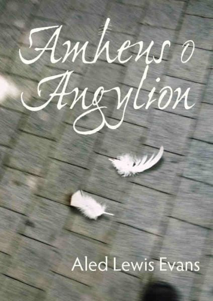 Cover image for Amheus o Angylion, isbn: 9781906396459