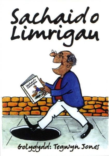 Cover image for Sachaid o Limrigau, isbn: 9781906396466